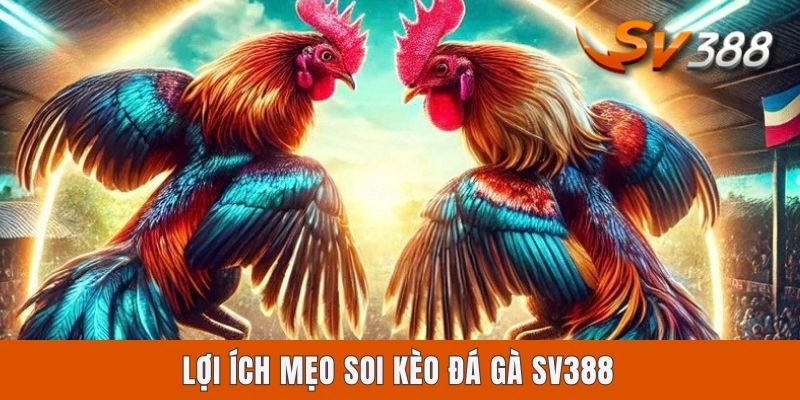 Lợi ích mẹo soi kèo đá gà Sv388