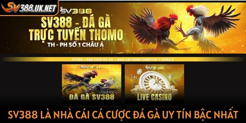 SV388 là nhà cái cá cược đá gà uy tín bậc nhất